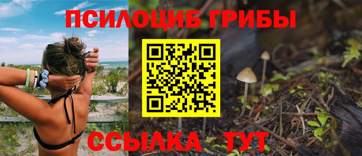 Псилоцибиновые грибы Psilocybe  Галлюциногенные грибы MAGIC MUSHROOMS  Лянтор  Вход с VPN 
