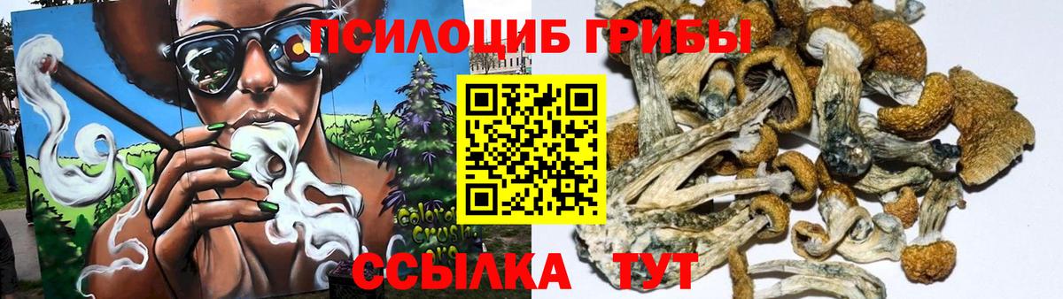 Псилоцибиновые грибы GOLDEN TEACHER Лянтор